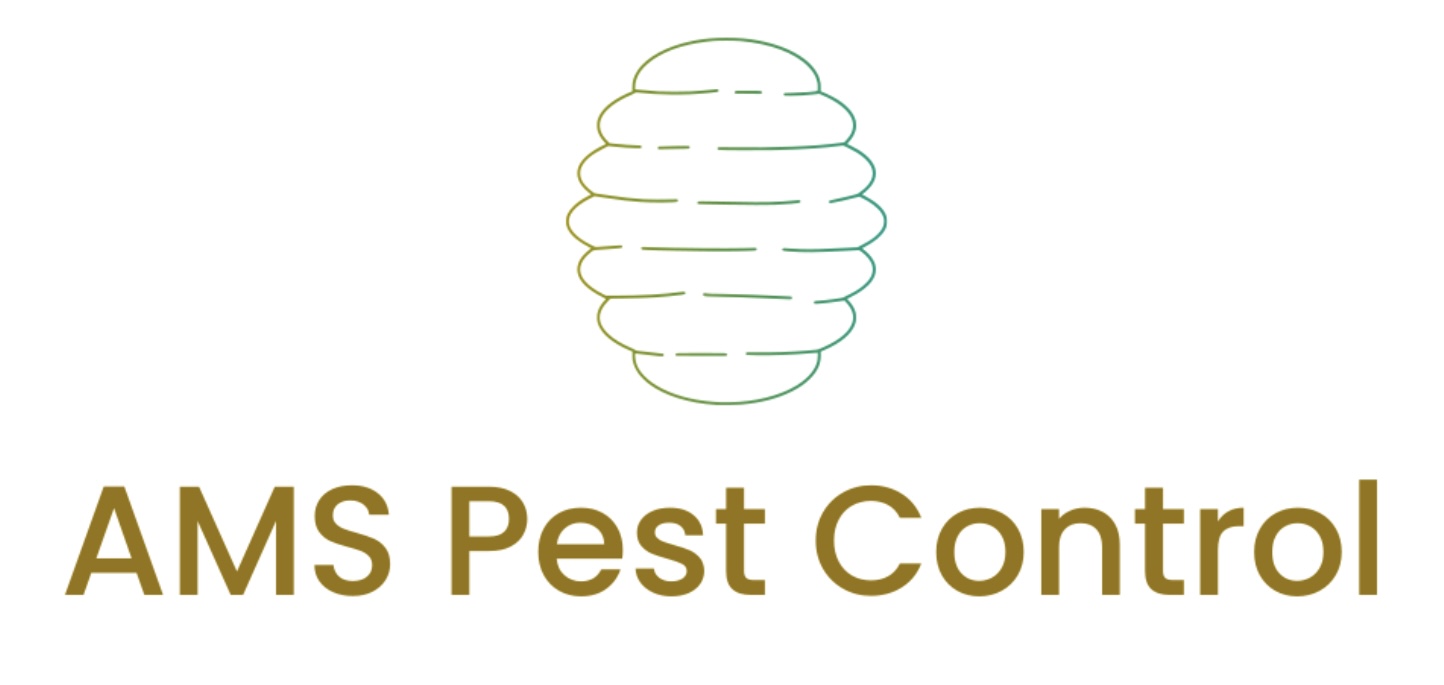 Commercial Pest Management & Contracts in Evesham and the Cotswolds: A Practical Guide for Local Businesses