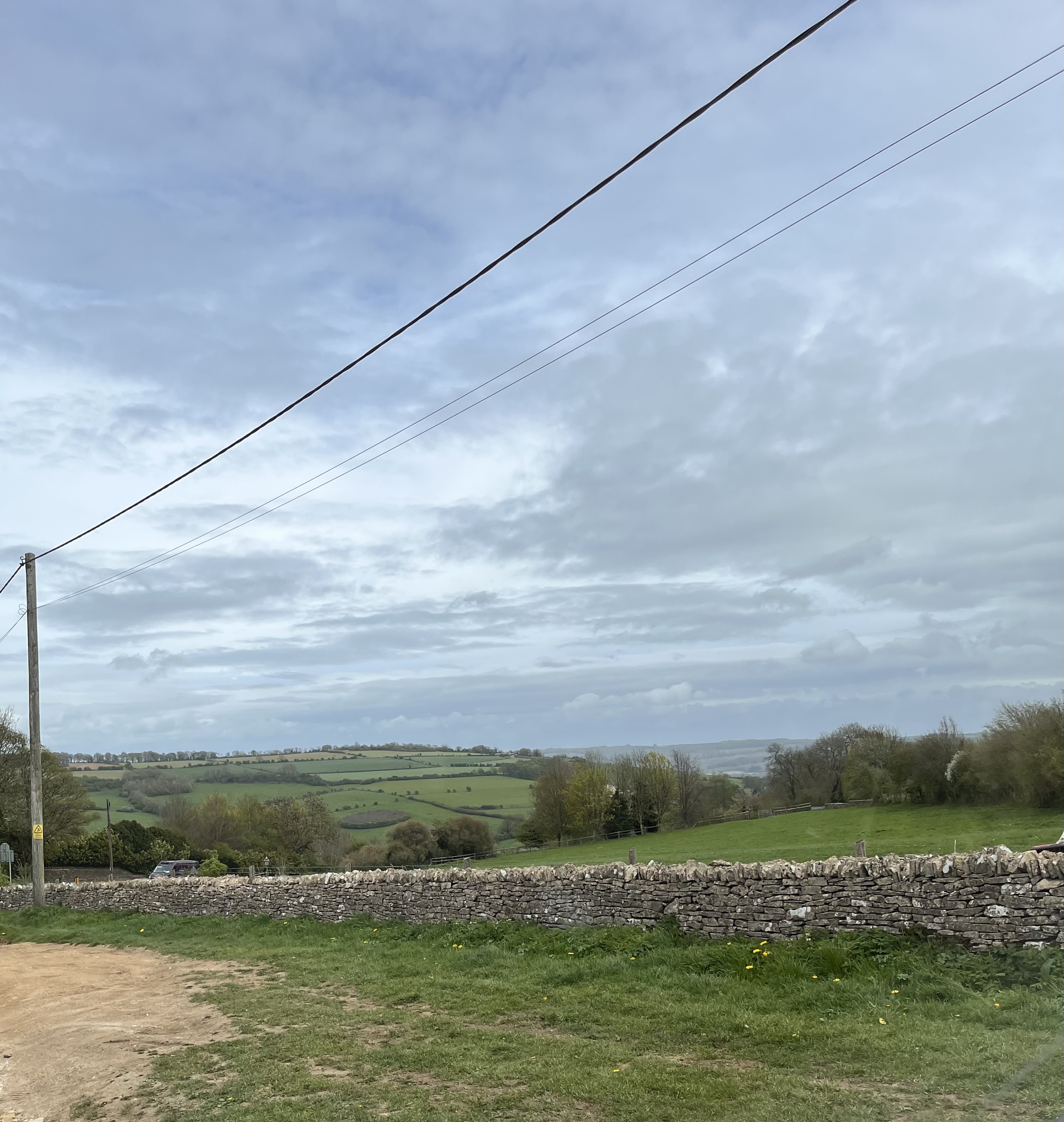 Commercial Pest Control in the Cotswolds: What Every Business Needs to Know