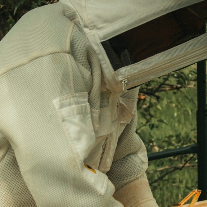 Person wearing a protective beekeeping suit and hat.